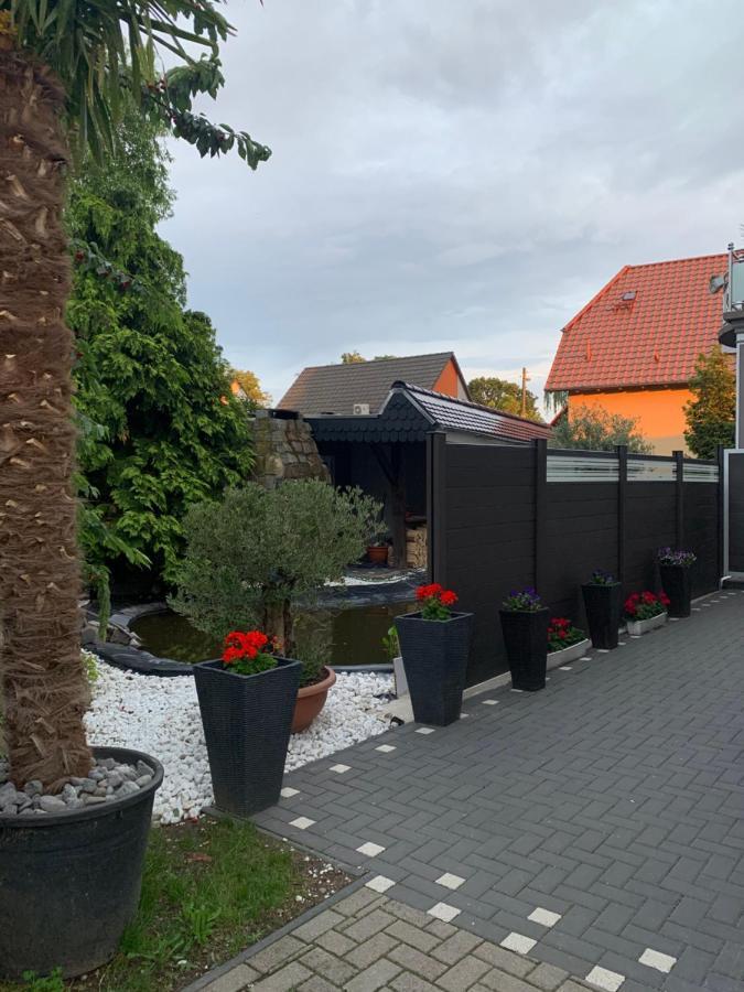 Sam - Gasthaus.Md Magdeburg Exteriör bild